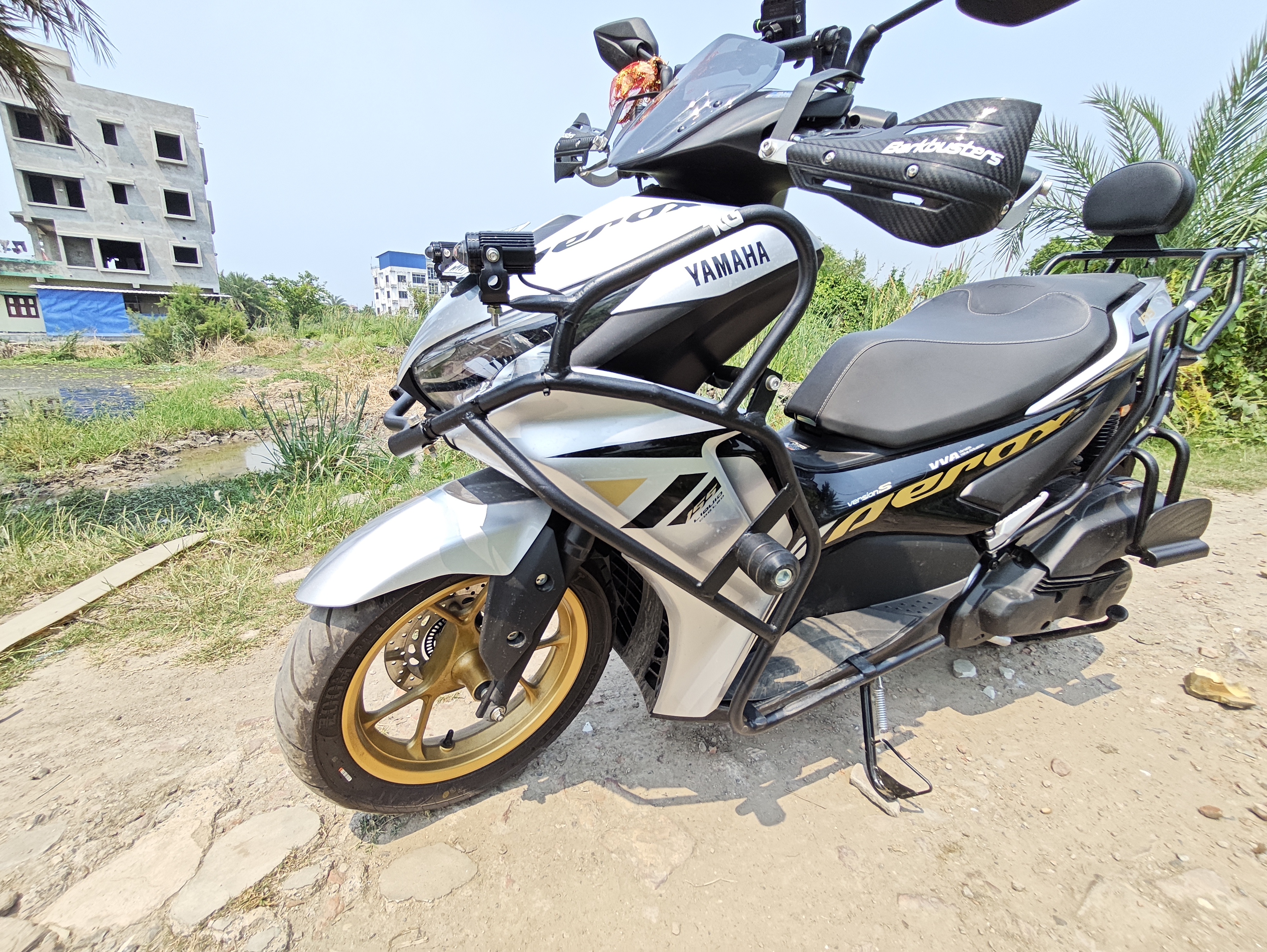 Crash Guard Professional Installation